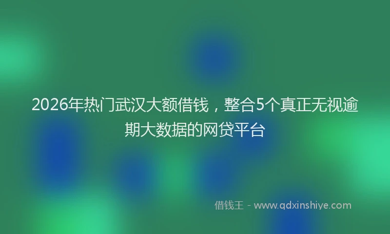 2026年热门武汉大额借钱，整合5个真正无视逾期大数据的网贷平台