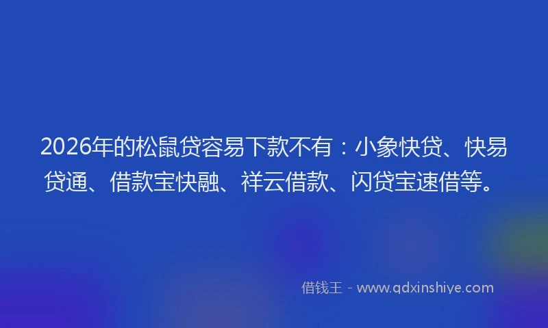 2026年的松鼠贷容易下款不有:小象快贷、快易贷通、借款宝快融、祥云借款、闪贷宝速借等。