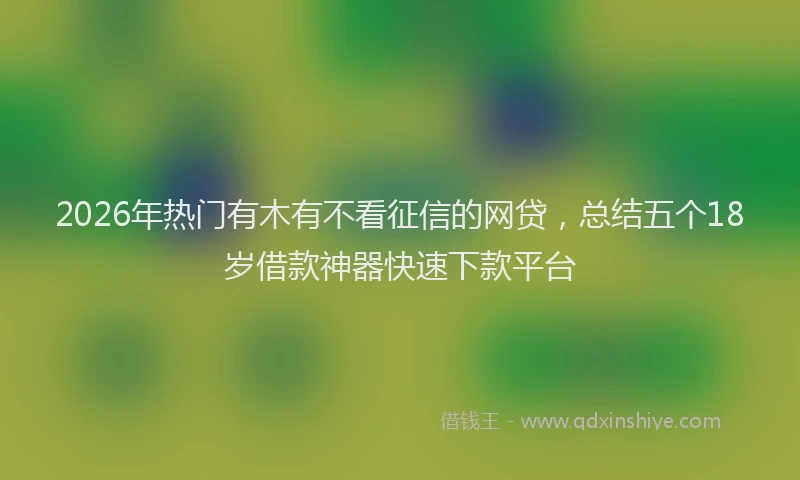 2026年热门有木有不看征信的网贷，总结五个18岁借款神器快速下款平台