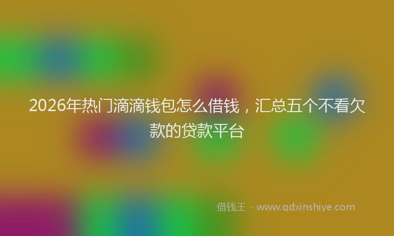 2026年热门滴滴钱包怎么借钱，汇总五个不看欠款的贷款平台
