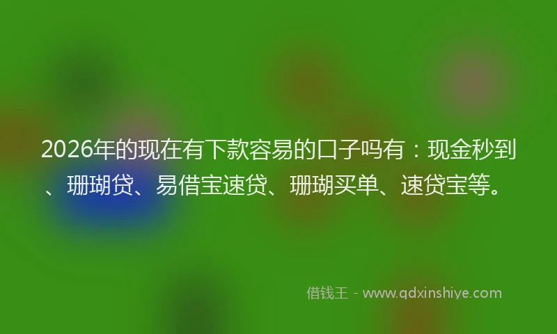 2026年的现在有下款容易的口子吗有：现金秒到、珊瑚贷、易借宝速贷、珊瑚买单、速贷宝等。