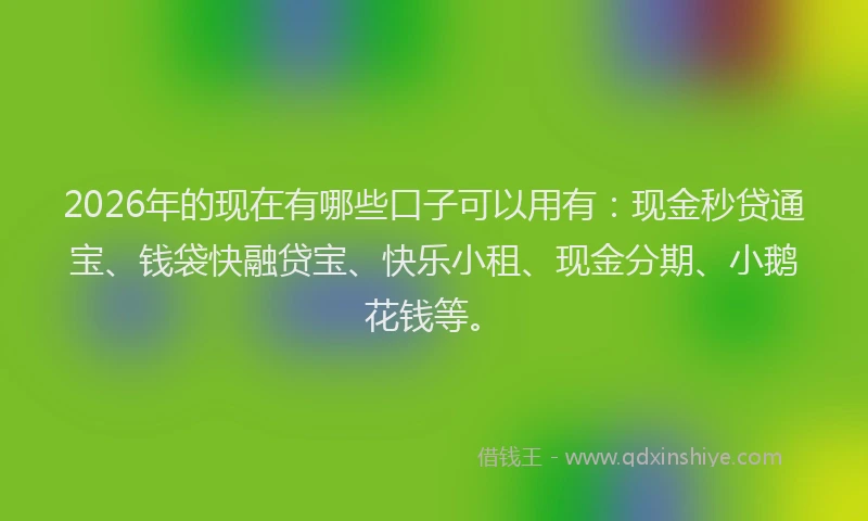 2026年的现在有哪些口子可以用有：现金秒贷通宝、钱袋快融贷宝、快乐小租、现金分期、小鹅花钱等。