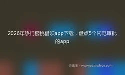 2026年热门樱桃借呗app下载，盘点5个闪电审批的app