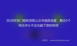 2026年热门榕树贷款公众号借款进度，整合5个综合评分不足也能下款的网贷