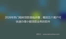 2026年热门榕树贷款借钱步骤，概括五个黑户可快速办理小额贷款业务的软件