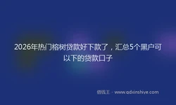 2026年热门榕树贷款好下款了，汇总5个黑户可以下的贷款口子