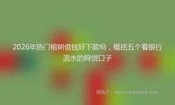 2026年热门榕树借钱好下款吗，概括五个看银行流水的网贷口子