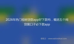 2026年热门榕树贷款app好下款吗，概括五个网贷黑口子必下款app