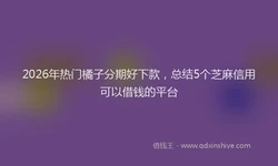 2026年热门橘子分期好下款，总结5个芝麻信用可以借钱的平台
