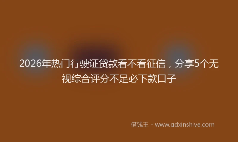 2026年热门行驶证贷款看不看征信，分享5个无视综合评分不足必下款口子