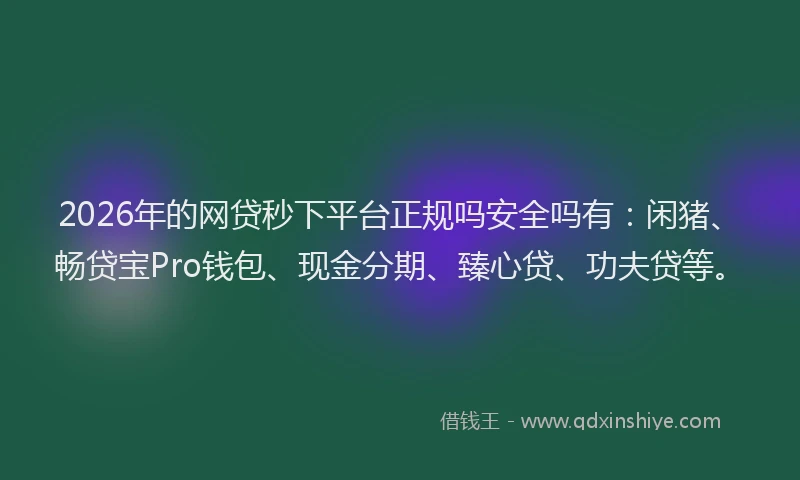 2026年的网贷秒下平台正规吗安全吗有：闲猪、畅贷宝Pro钱包、现金分期、臻心贷、功夫贷等。