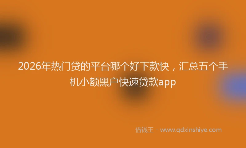 2026年热门贷的平台哪个好下款快,汇总五个手机小额黑户快速贷款app