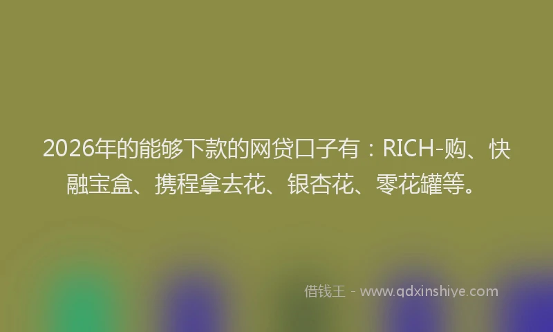 2026年的能够下款的网贷口子有：RICH-购、快融宝盒、携程拿去花、银杏花、零花罐等。