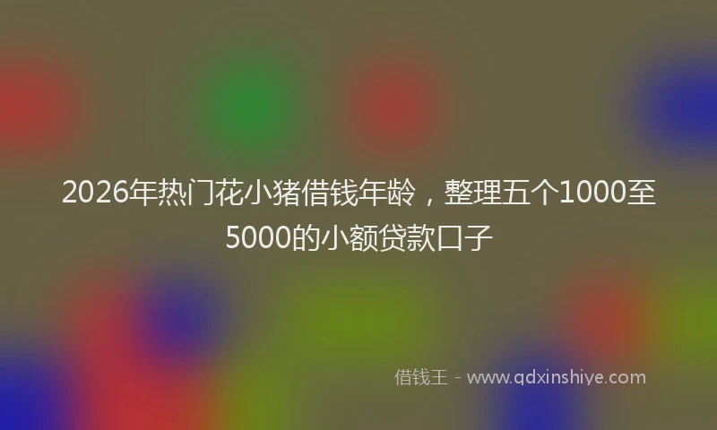 2026年热门花小猪借钱年龄，整理五个1000至5000的小额贷款口子