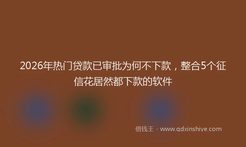 2026年热门贷款已审批为何不下款，整合5个征信花居然都下款的软件