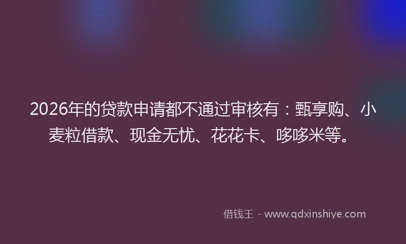 2026年的贷款申请都不通过审核有：甄享购、小麦粒借款、现金无忧、花花卡、哆哆米等。