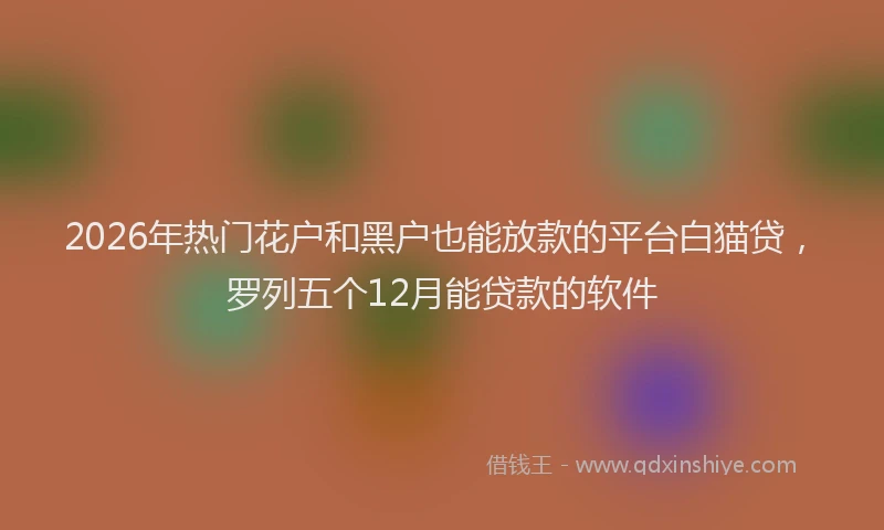 2026年热门花户和黑户也能放款的平台白猫贷，罗列五个12月能贷款的软件