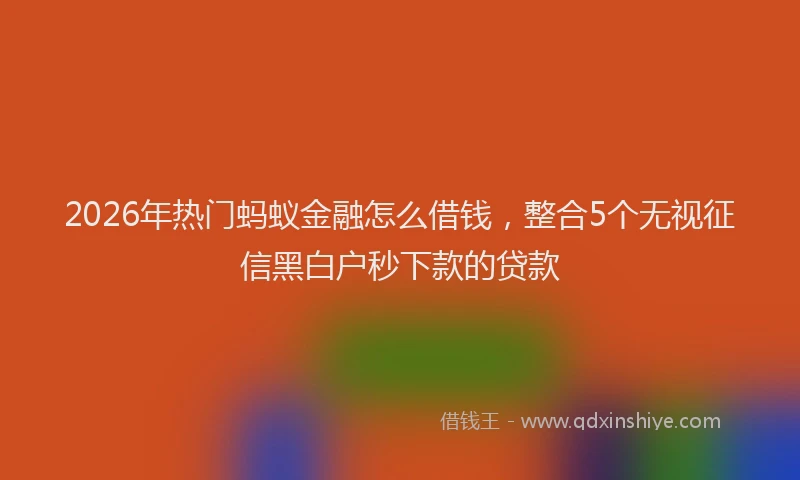 2026年热门蚂蚁金融怎么借钱，整合5个无视征信黑白户秒下款的贷款