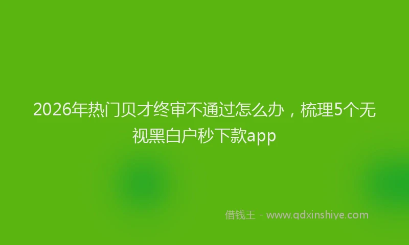 2026年热门贝才终审不通过怎么办，梳理5个无视黑白户秒下款app