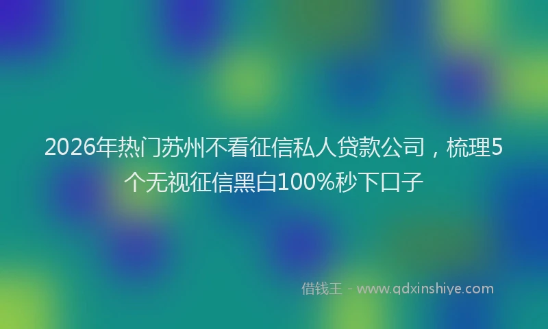 2026年热门苏州不看征信私人贷款公司，梳理5个无视征信黑白100%秒下口子