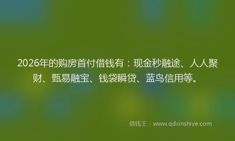 2026年的购房首付借钱有：现金秒融途、人人聚财、甄易融宝、钱袋瞬贷、蓝鸟信用等。