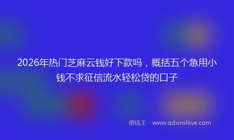 2026年热门芝麻云钱好下款吗，概括五个急用小钱不求征信流水轻松贷的口子