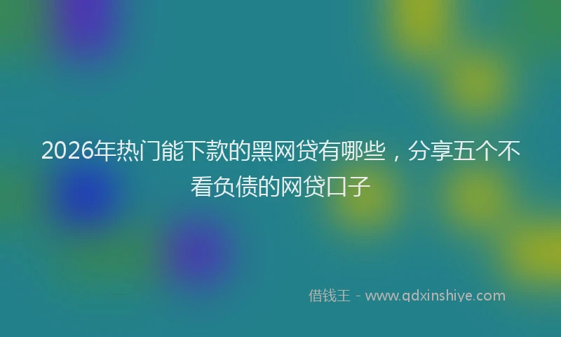 2026年热门能下款的黑网贷有哪些，分享五个不看负债的网贷口子