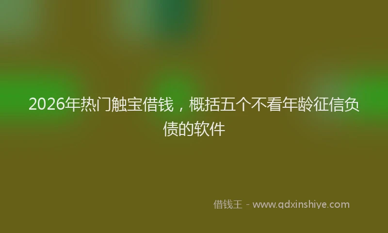2026年热门触宝借钱,概括五个不看年龄征信负债的软件