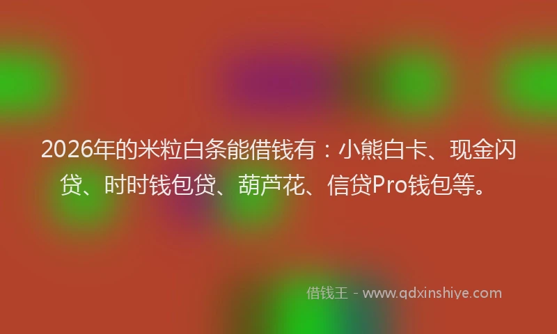 2026年的米粒白条能借钱有：小熊白卡、现金闪贷、时时钱包贷、葫芦花、信贷Pro钱包等。