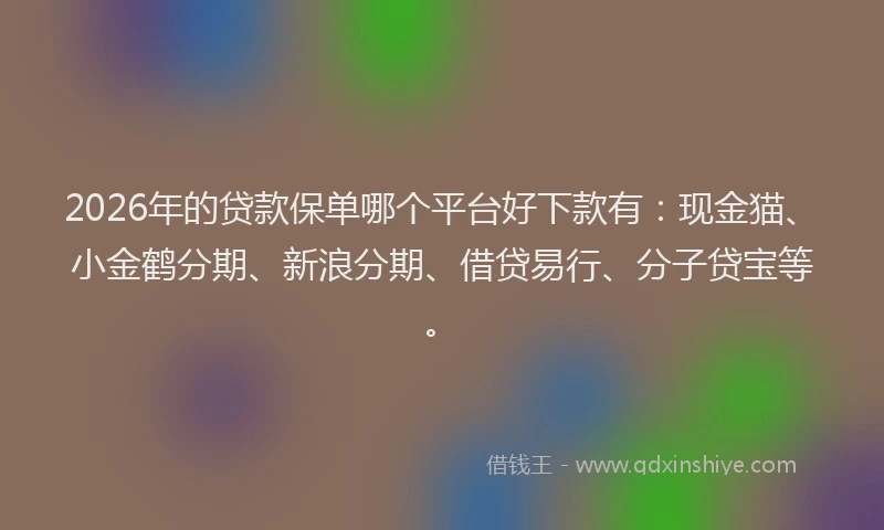 2026年的贷款保单哪个平台好下款有：现金猫、小金鹤分期、新浪分期、借贷易行、分子贷宝等。