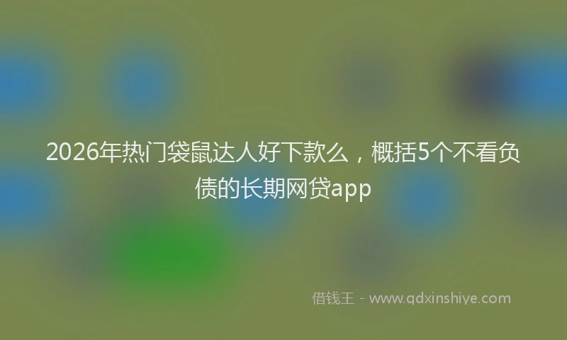2026年热门袋鼠达人好下款么，概括5个不看负债的长期网贷app
