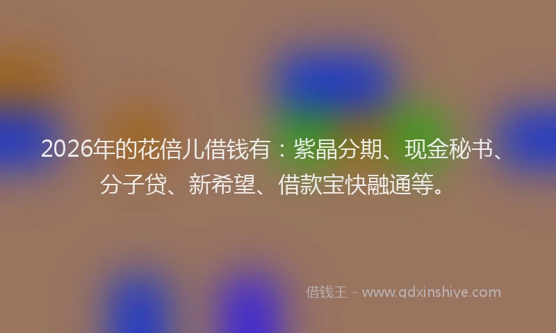 2026年的花倍儿借钱有:紫晶分期、现金秘书、分子贷、新希望、借款宝快融通等。
