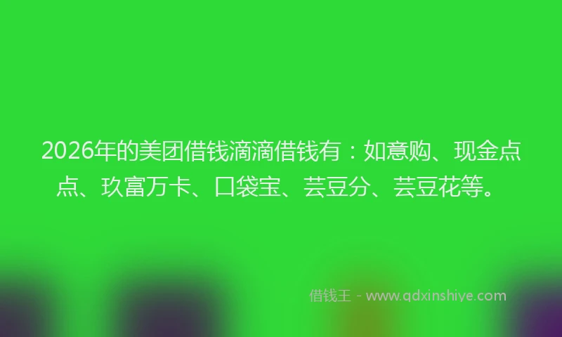 2026年的美团借钱滴滴借钱有：如意购、现金点点、玖富万卡、口袋宝、芸豆分、芸豆花等。