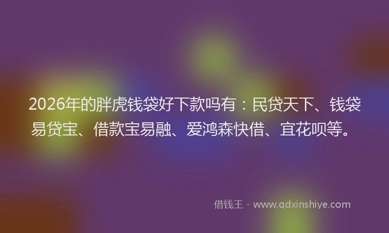 2026年的胖虎钱袋好下款吗有:民贷天下、钱袋易贷宝、借款宝易融、爱鸿森快借、宜花呗等。