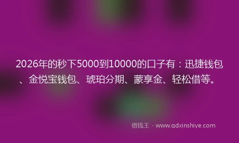 2026年的秒下5000到10000的口子有：迅捷钱包、金悦宝钱包、琥珀分期、蒙享金、轻松借等。