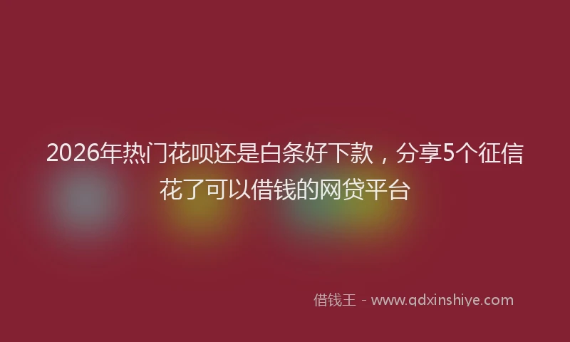 2026年热门花呗还是白条好下款，分享5个征信花了可以借钱的网贷平台
