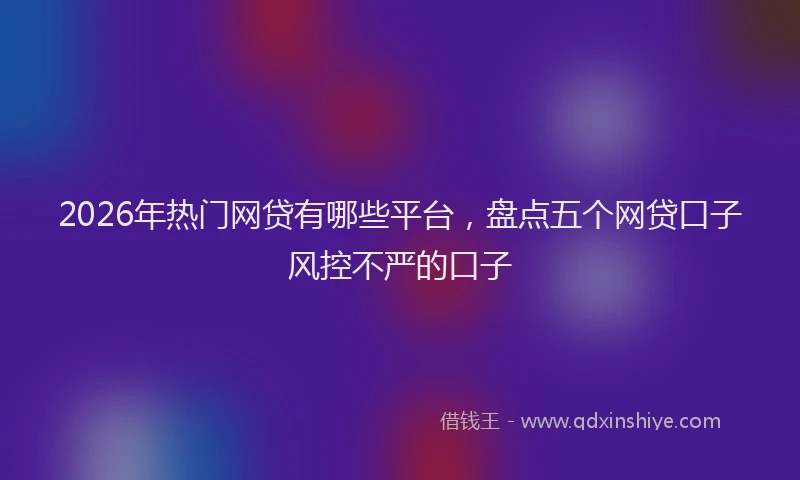 2026年热门网贷有哪些平台，盘点五个网贷口子风控不严的口子