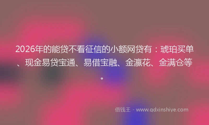 2026年的能贷不看征信的小额网贷有：琥珀买单、现金易贷宝通、易借宝融、金瀛花、金满仓等。