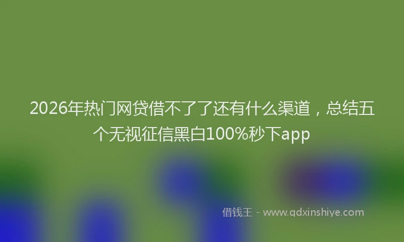 2026年热门网贷借不了了还有什么渠道，总结五个无视征信黑白100%秒下app