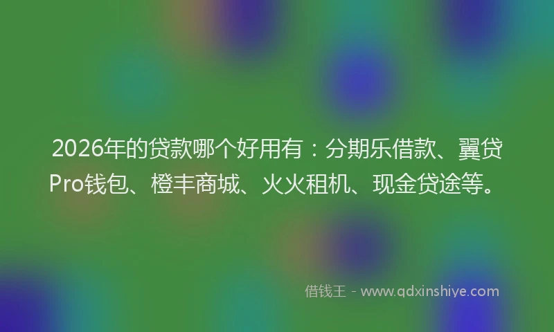 2026年的贷款哪个好用有：分期乐借款、翼贷Pro钱包、橙丰商城、火火租机、现金贷途等。
