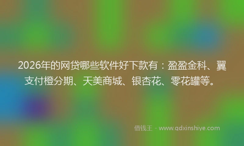 2026年的网贷哪些软件好下款有：盈盈金科、翼支付橙分期、天美商城、银杏花、零花罐等。