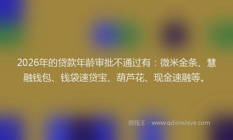 2026年的贷款年龄审批不通过有：微米金条、慧融钱包、钱袋速贷宝、葫芦花、现金速融等。