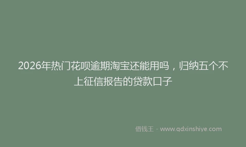 2026年热门花呗逾期淘宝还能用吗，归纳五个不上征信报告的贷款口子