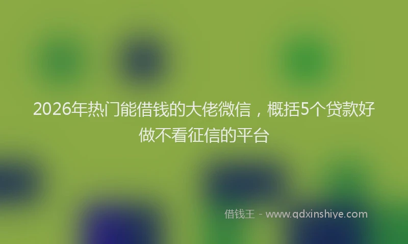 2026年热门能借钱的大佬微信，概括5个贷款好做不看征信的平台