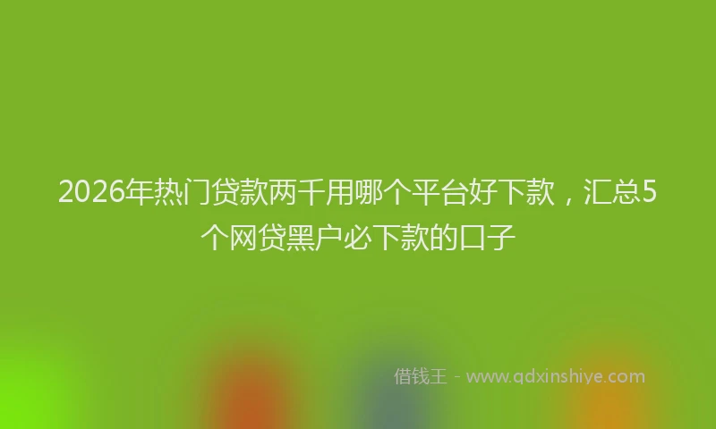 2026年热门贷款两千用哪个平台好下款，汇总5个网贷黑户必下款的口子