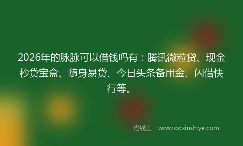 2026年的脉脉可以借钱吗有:腾讯微粒贷、现金秒贷宝盒、随身易贷、今日头条备用金、闪借快行等。