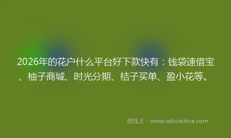 2026年的花户什么平台好下款快有：钱袋速借宝、柚子商城、时光分期、桔子买单、盈小花等。