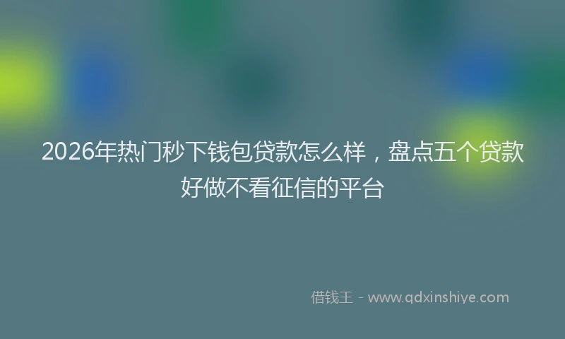 2026年热门秒下钱包贷款怎么样，盘点五个贷款好做不看征信的平台