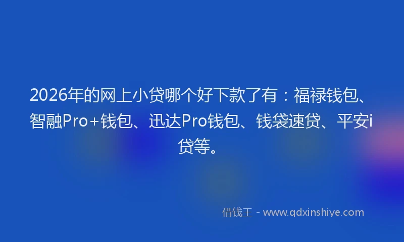 2026年的网上小贷哪个好下款了有：福禄钱包、智融Pro+钱包、迅达Pro钱包、钱袋速贷、平安i贷等。