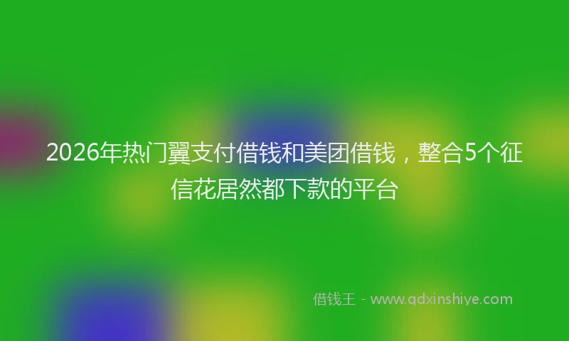 2026年热门翼支付借钱和美团借钱，整合5个征信花居然都下款的平台